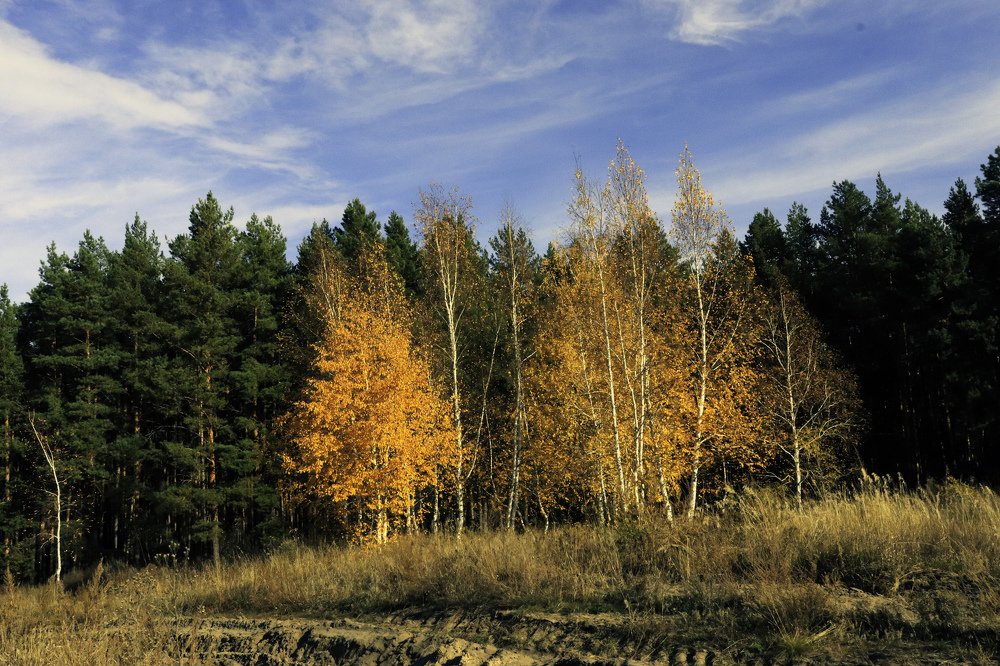 Photograph by Федоренко Элеонора