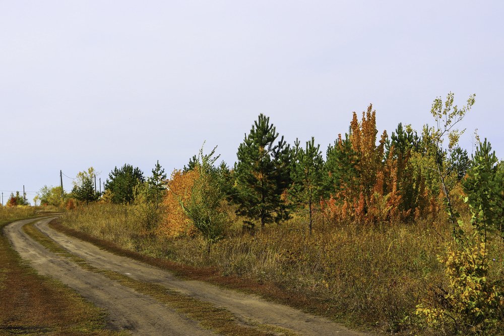 Photograph by Федоренко Элеонора