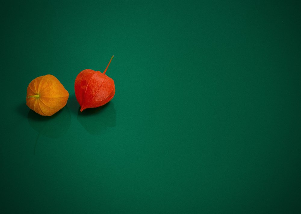 Photograph by Nizam Akanjee