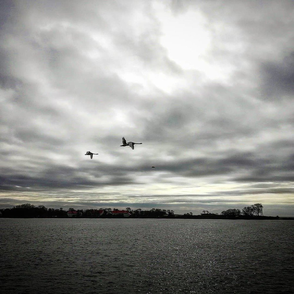 Photograph by Владимир Плотников