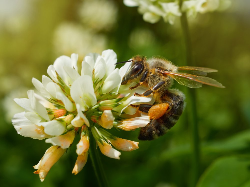 Фотография автора Георгий Муравьёв