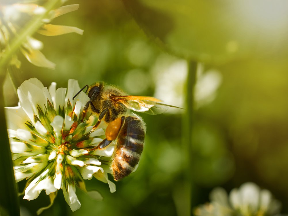 Фотография автора Георгий Муравьёв