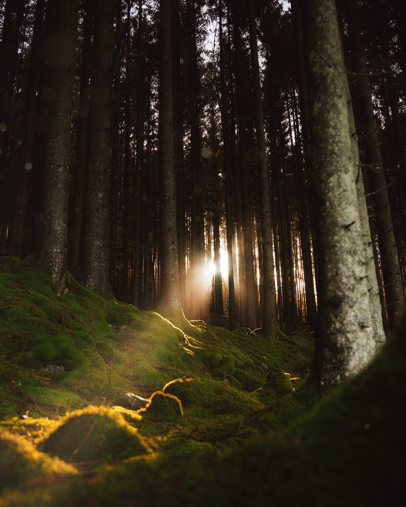 Photograph by Markus wesslen