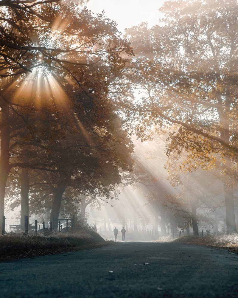 Photograph by Markus wesslen