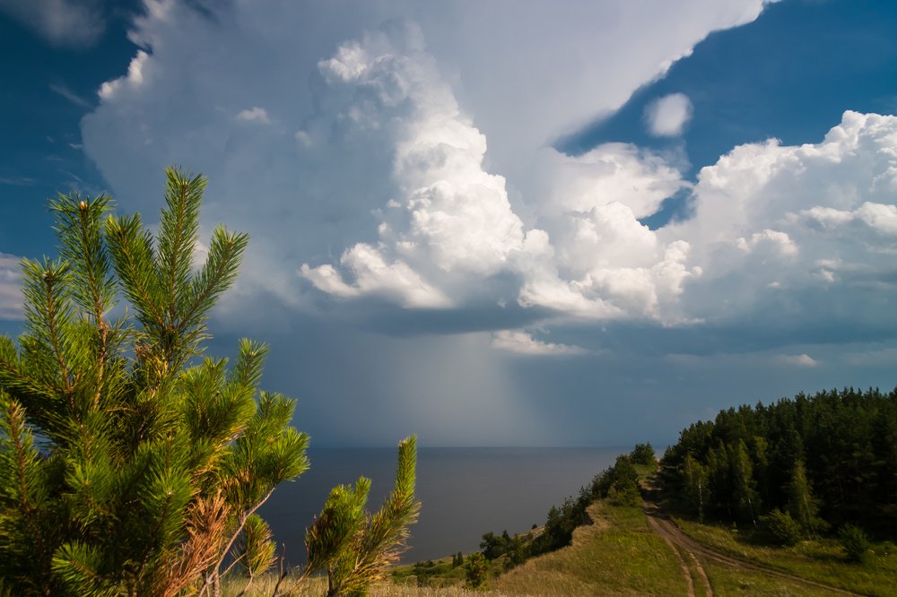 Надвигающаяся гроза