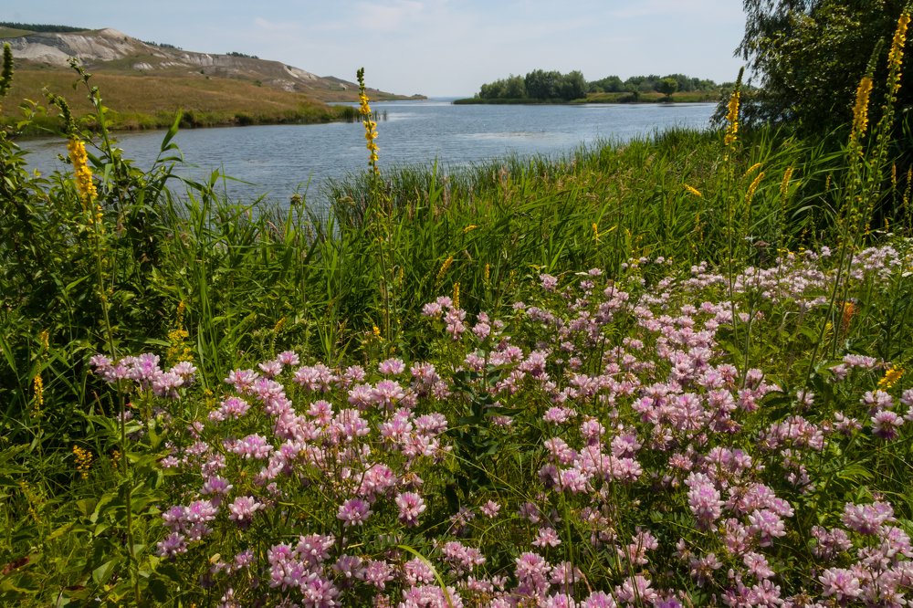 Photograph by Наталья Панина