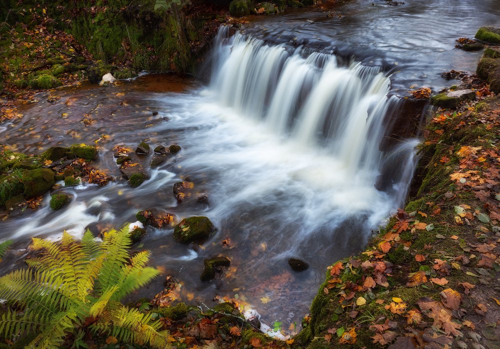Photograph by Dace Spalviņa