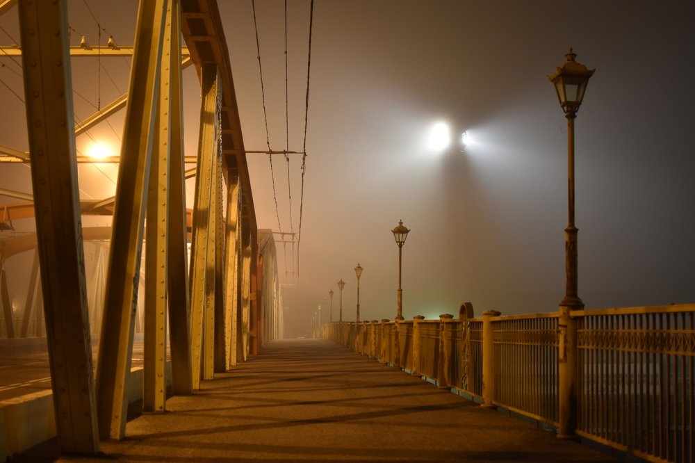 Photograph by Людмила Комарова