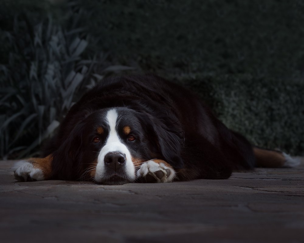 Photograph by Наталья Кучинская