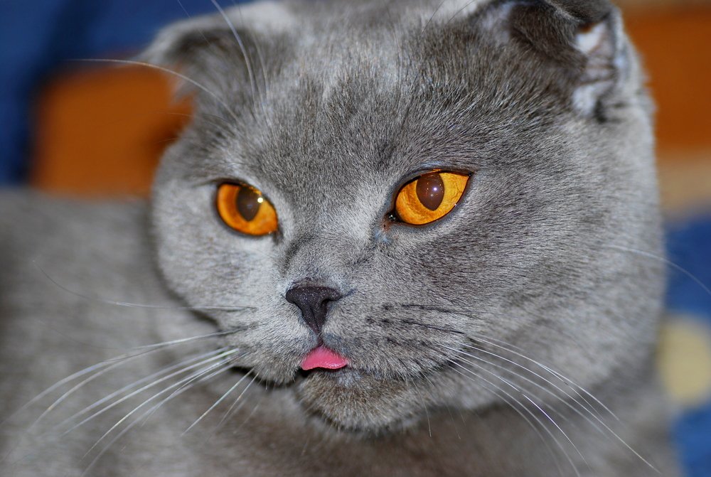 Photograph by Оксана Трофименко