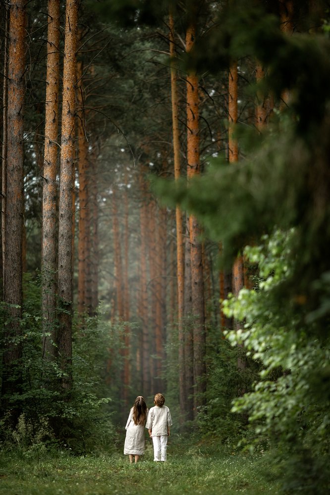 Когда деревья были большими...