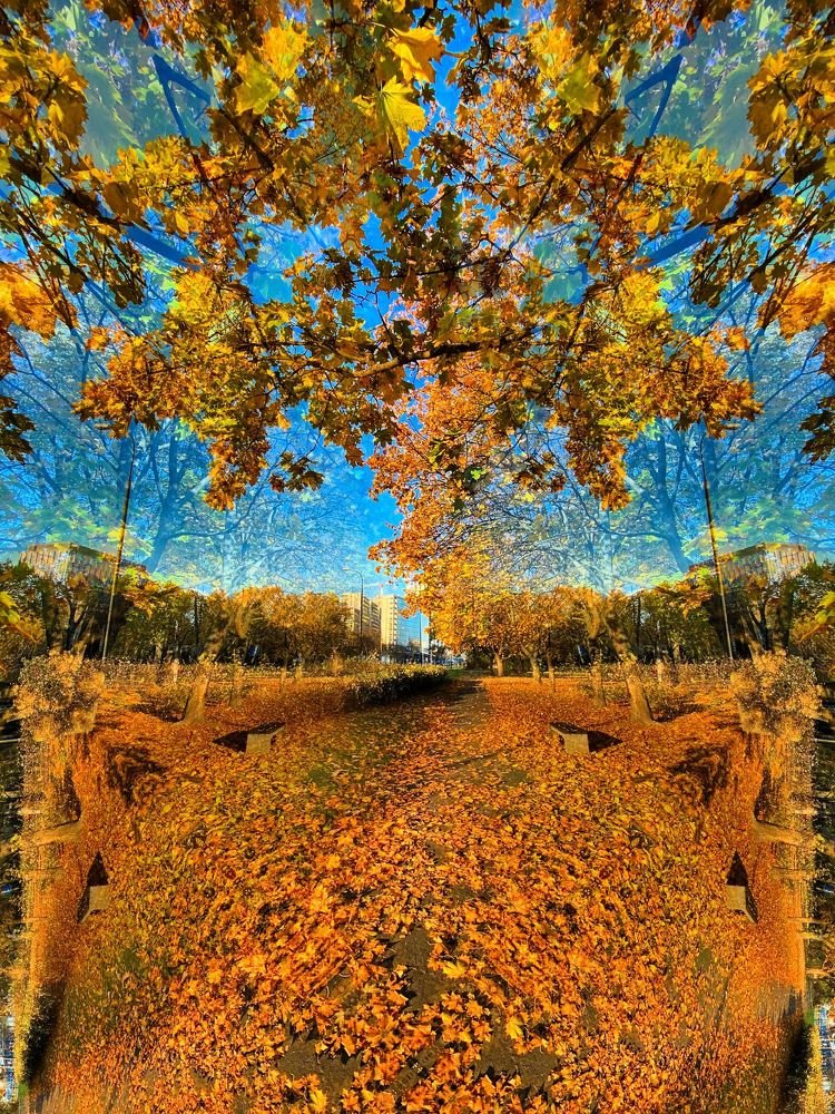 Photograph by Wojciech Radzko