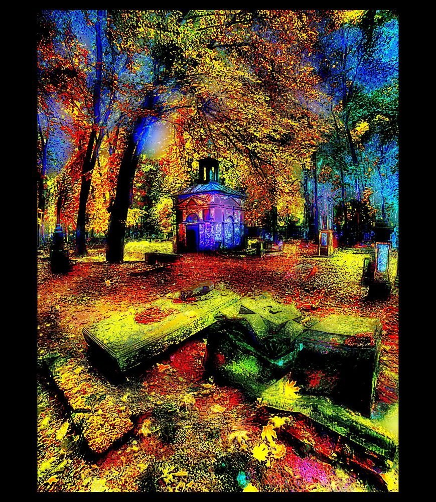 Photograph by Wojciech Radzko