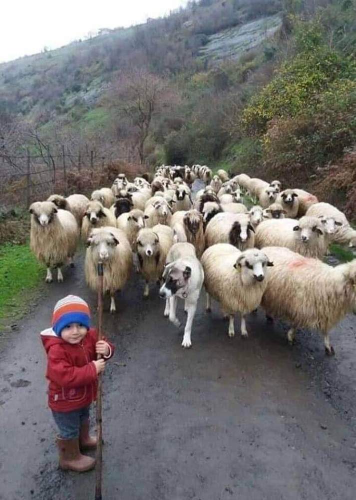 khazakhistan