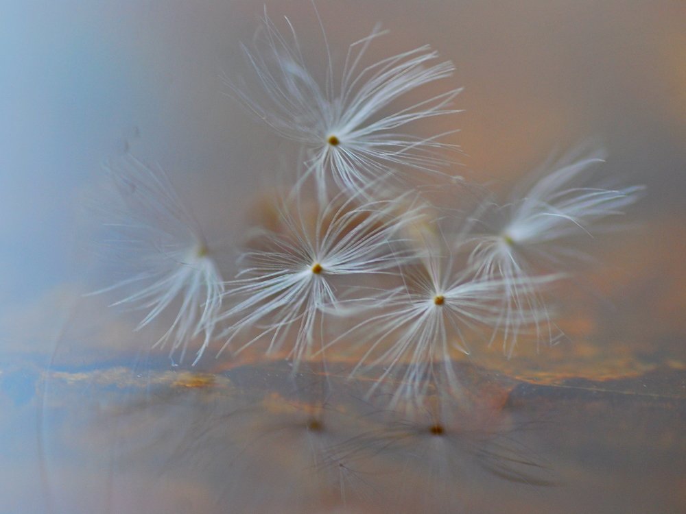 Photograph by Оксана Трофименко