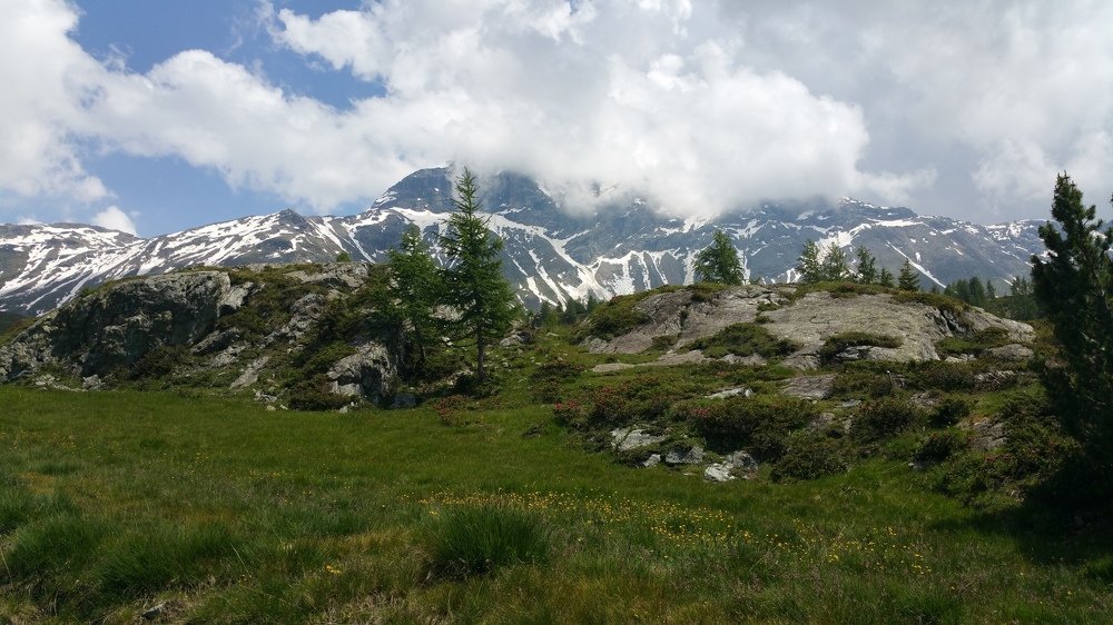 Photograph by Max Ischenko