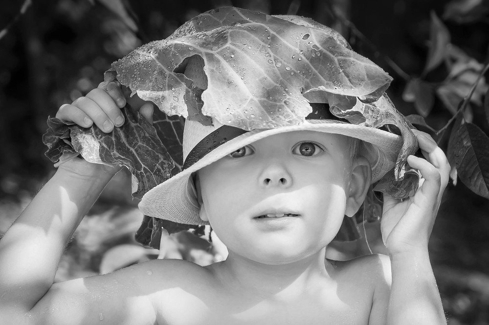 Photograph by Ирина Решетникова