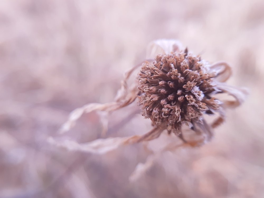 Photograph by Дарья Богославская