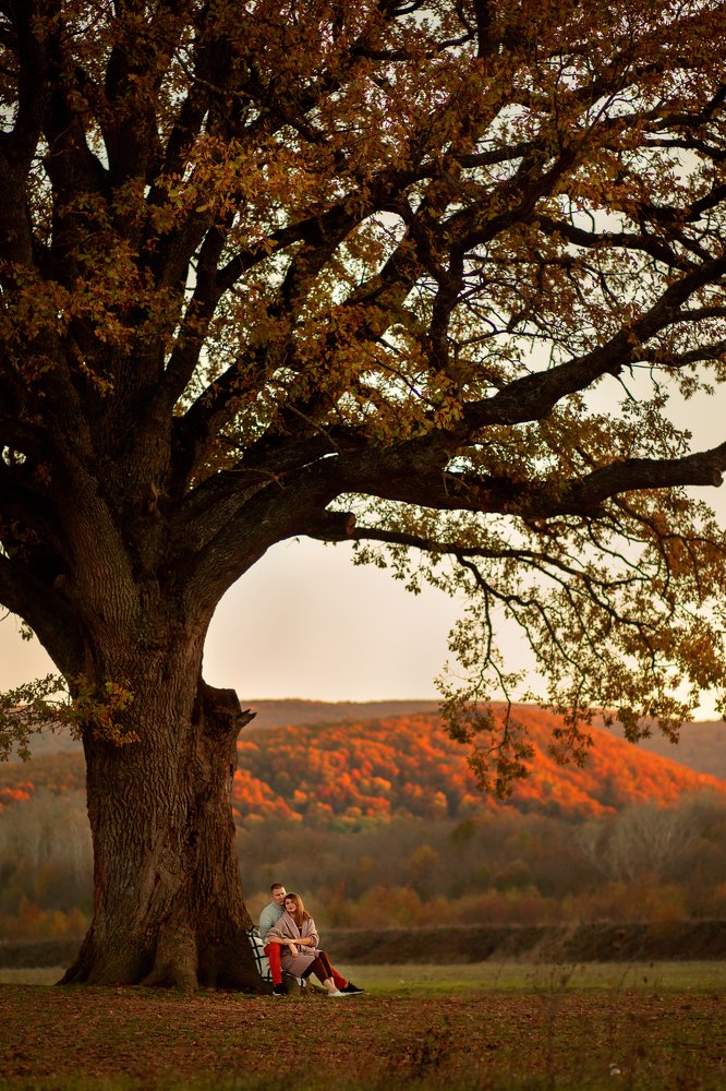 Photograph by Елена Андреева
