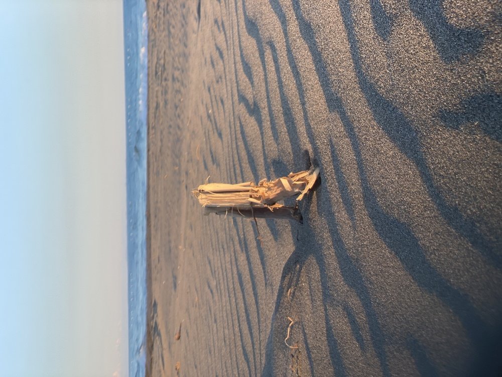 Photograph by Nebojsa Kavaric