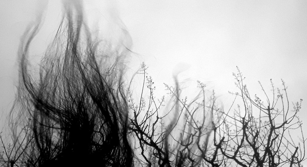 Photograph by Zohreh khaleghi