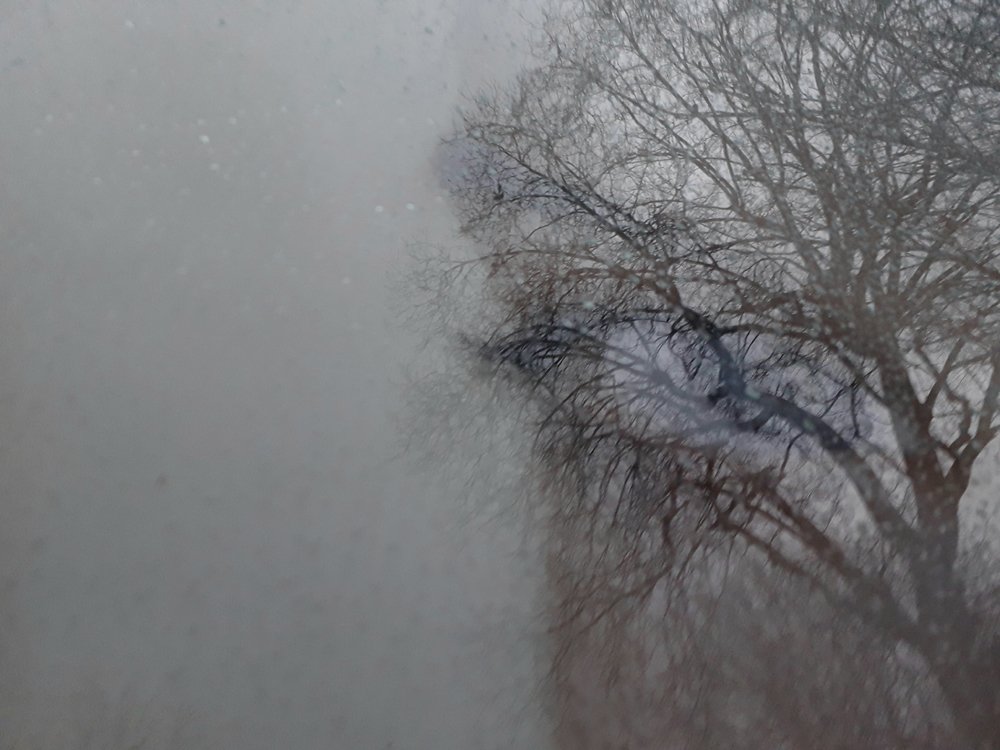 Photograph by Zohreh khaleghi