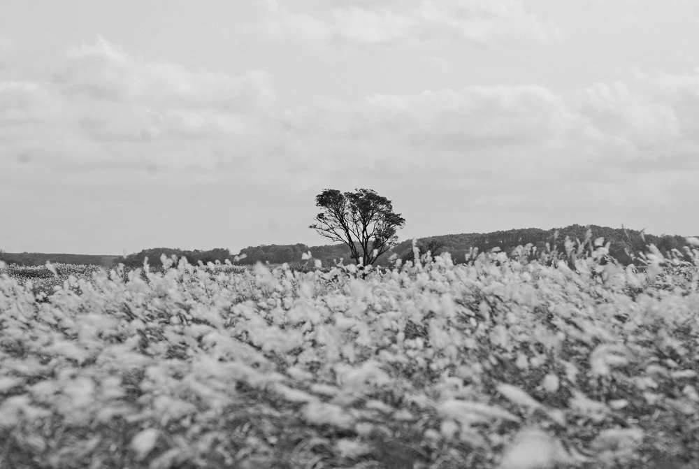 Photograph by Оксана Трофименко