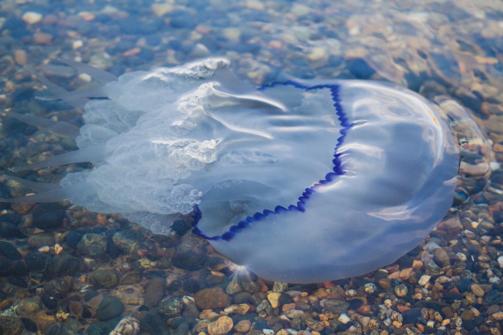 Photograph by Константин Бокарев