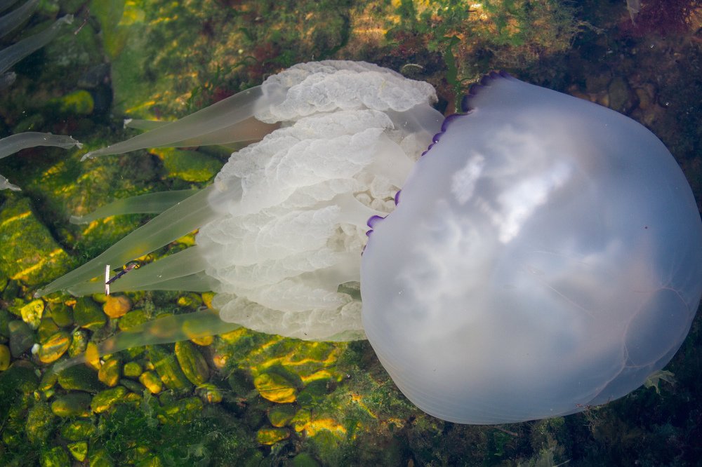 Photograph by Константин Бокарев