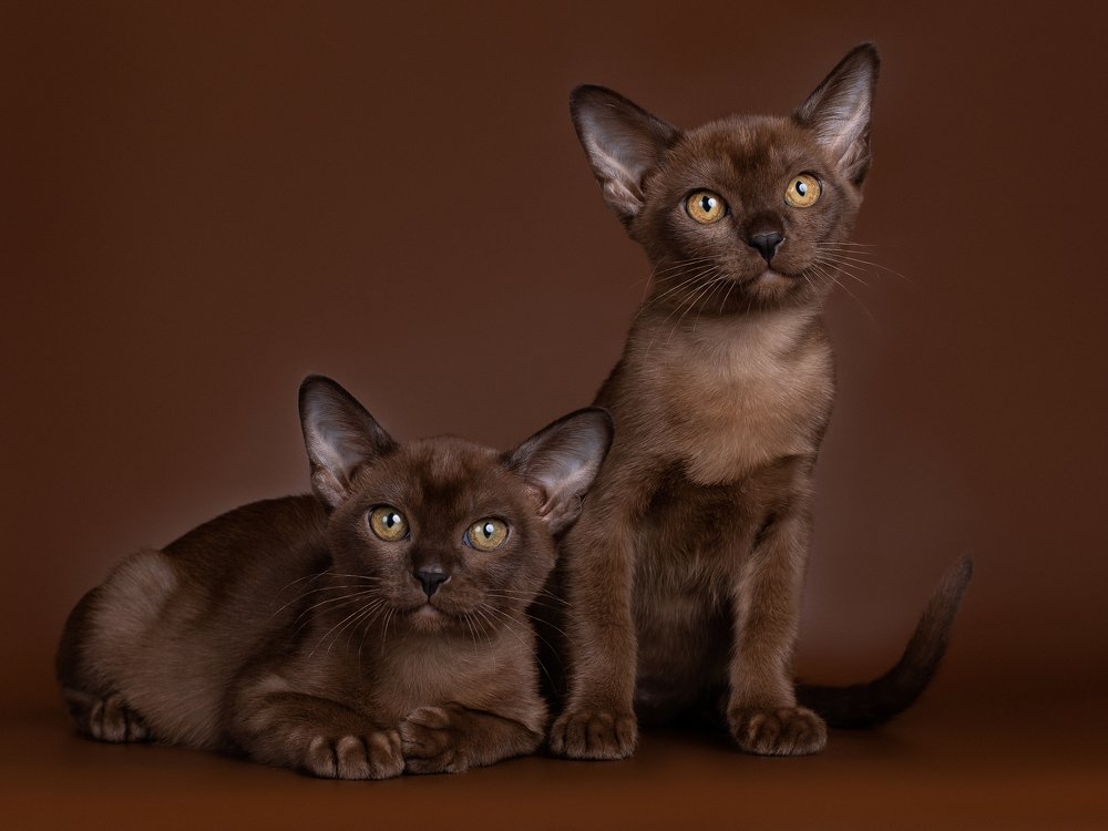 Photograph by Светлана Федоренко