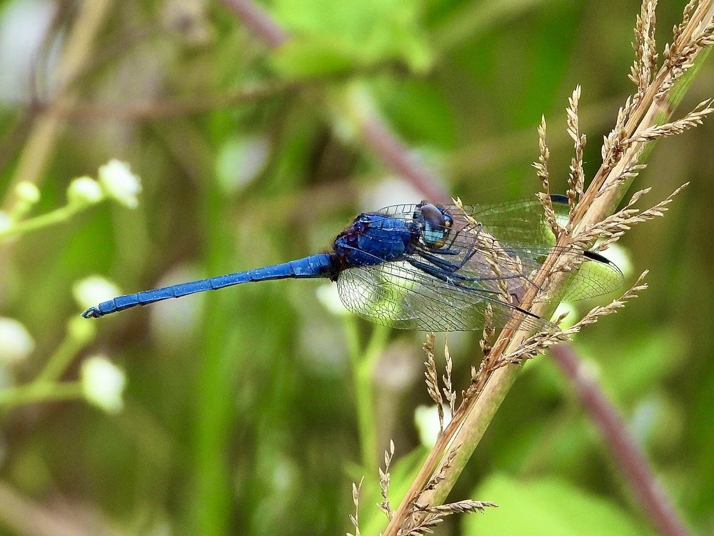 Photograph by Areef Photography