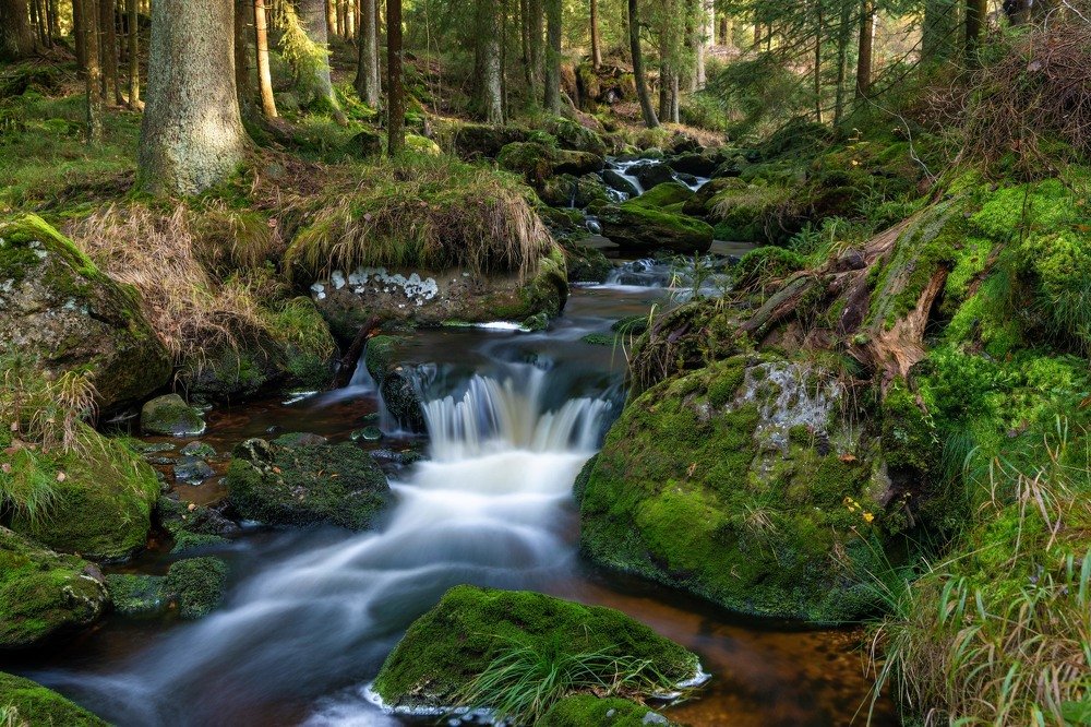 Photograph by Евгения Чех