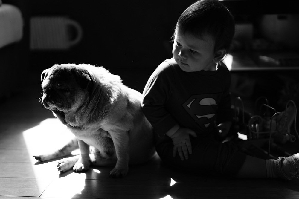 Photograph by Анастасия Харитонова