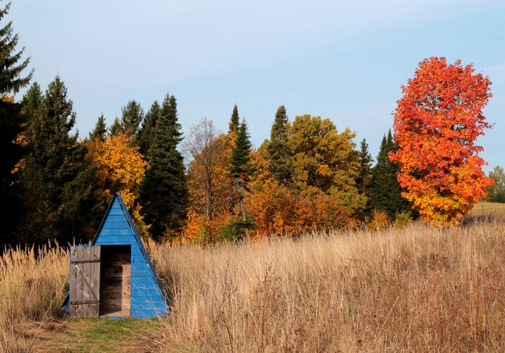 Фотография автора Людмила Иванова