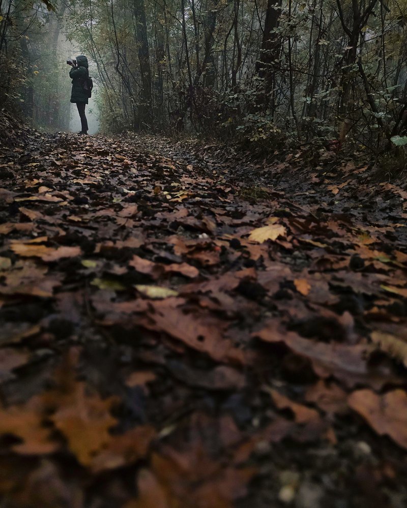 Photograph by Bojan Dzodan