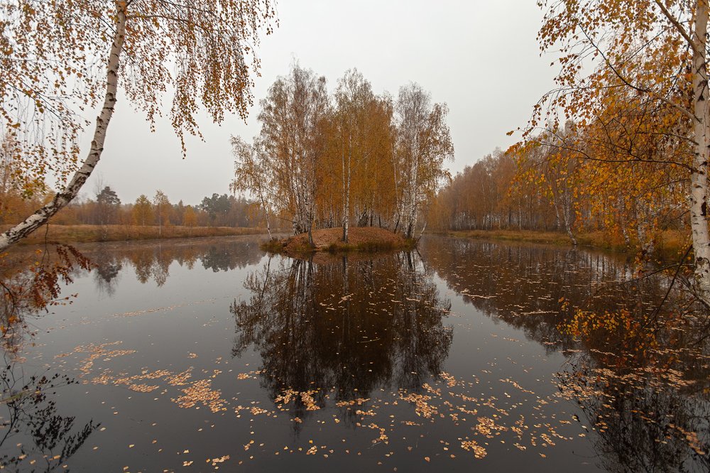 Photograph by Ольга Денисова