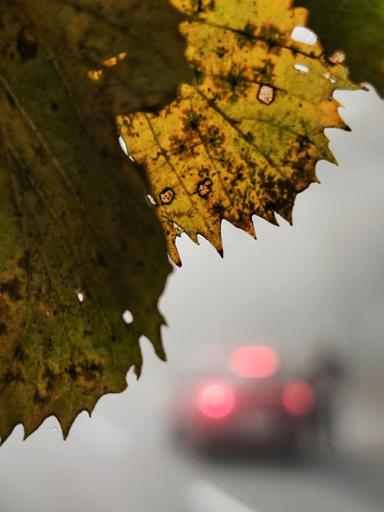 Photograph by Bojan Dzodan