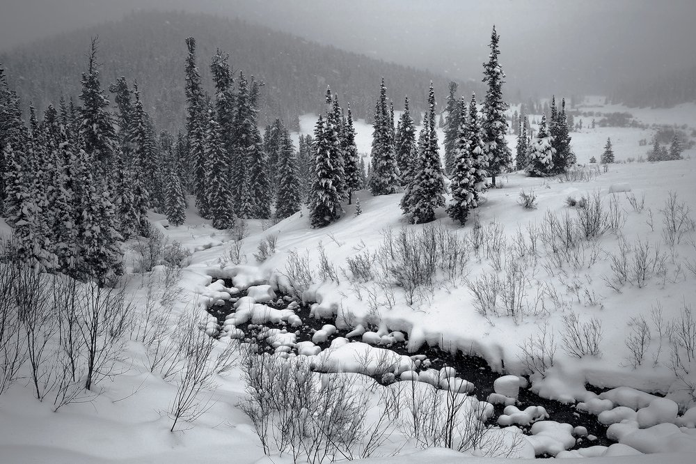Снежный ноябрь в Ергаках