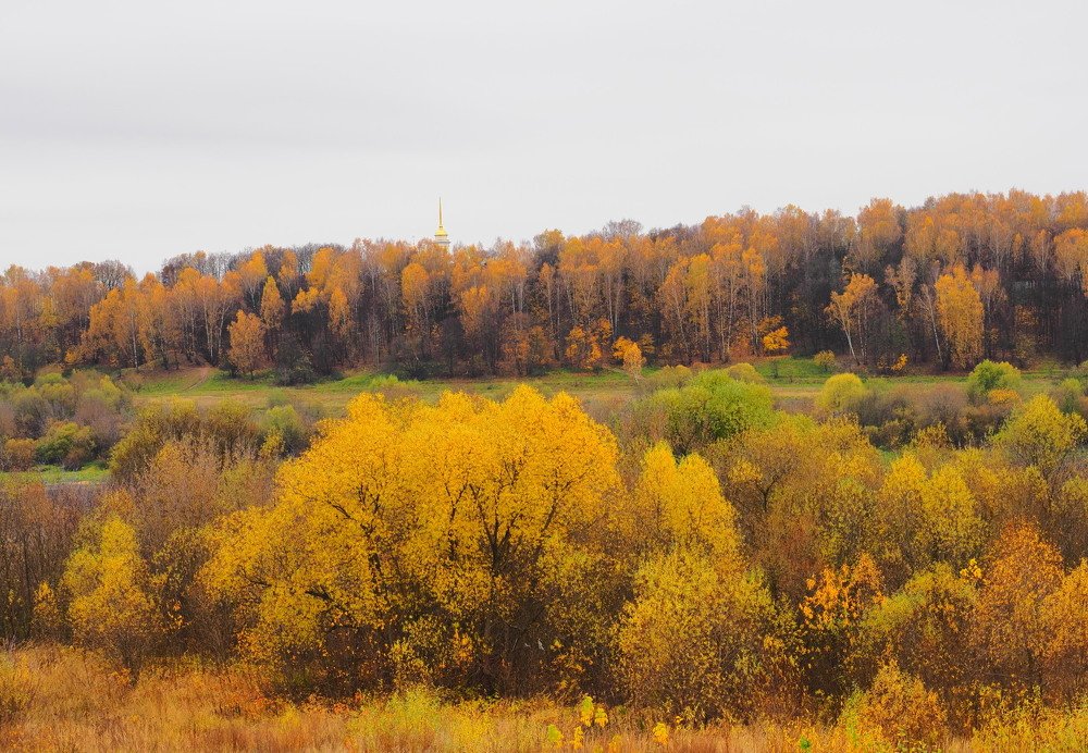 В долине Оки
