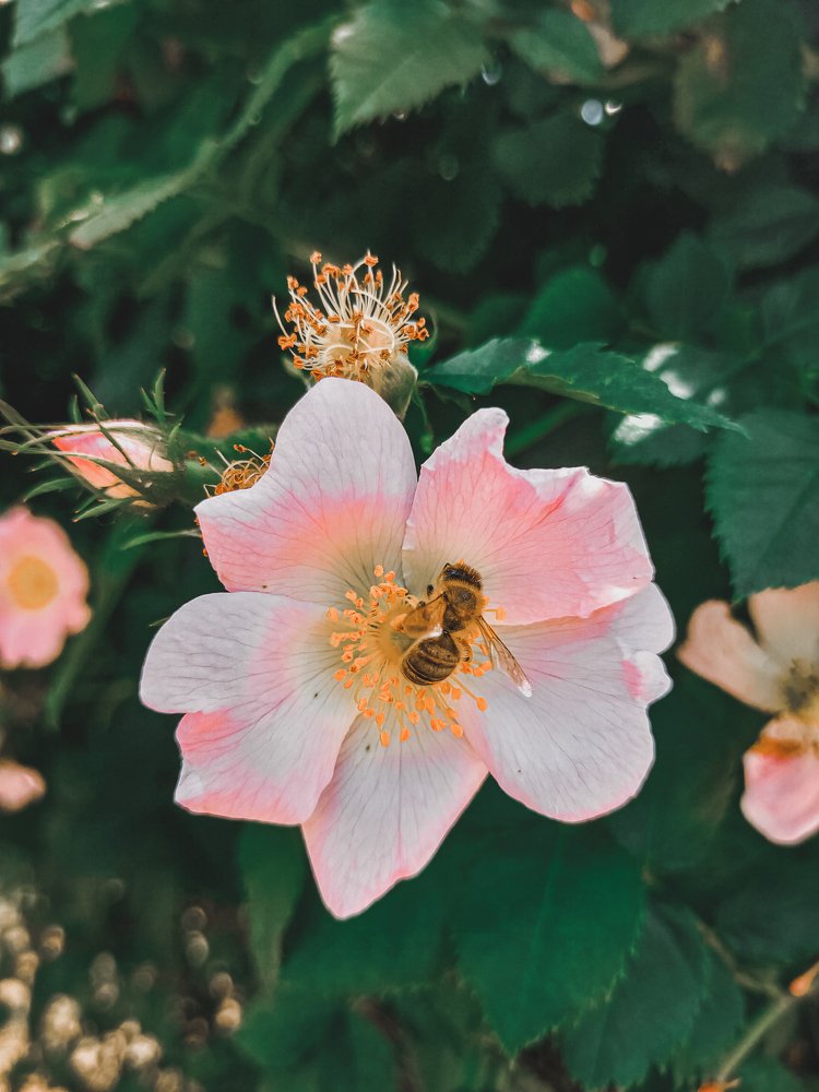 Фотография автора Иван Разиньков