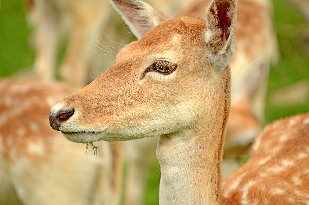 Photograph by Liliana Grup