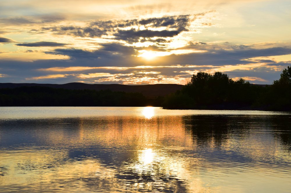 Photograph by Татьяна Дорожко