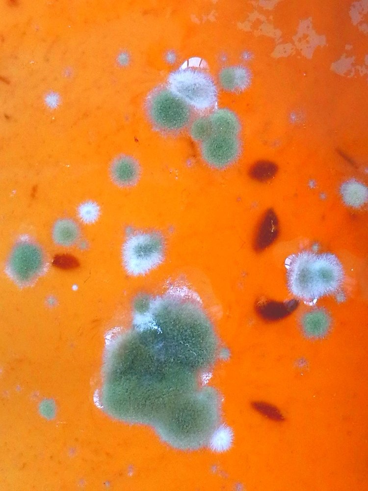 Photograph by Тамара Морозова