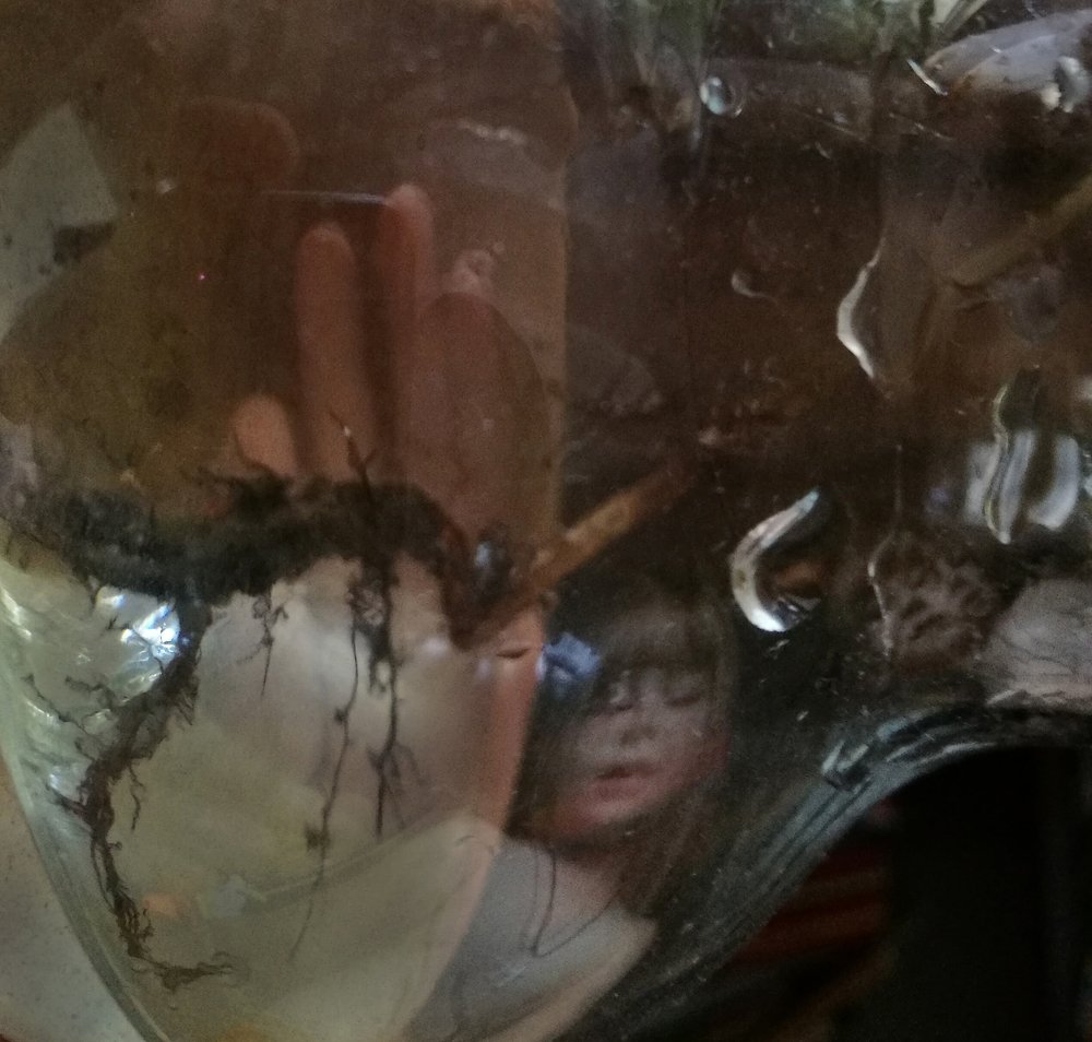 Photograph by Тамара Морозова