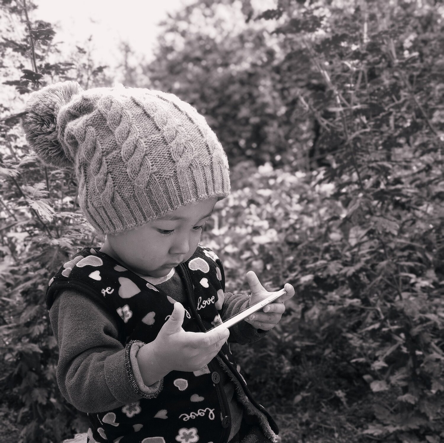 Photo #5207962