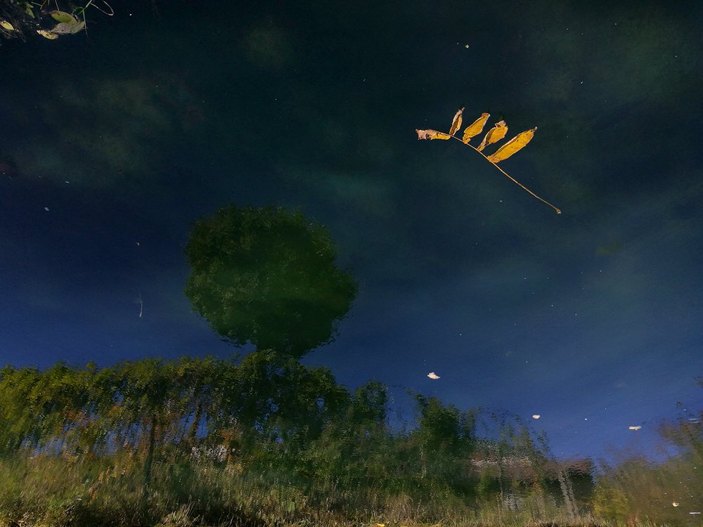 Photograph by Тамара Морозова