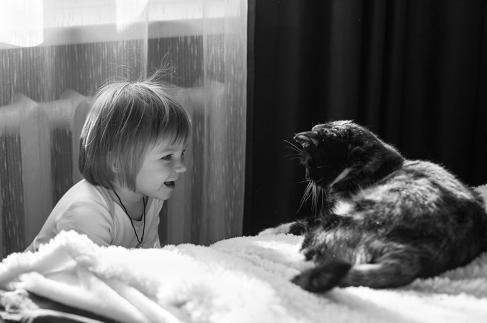 Photograph by Тамара Морозова