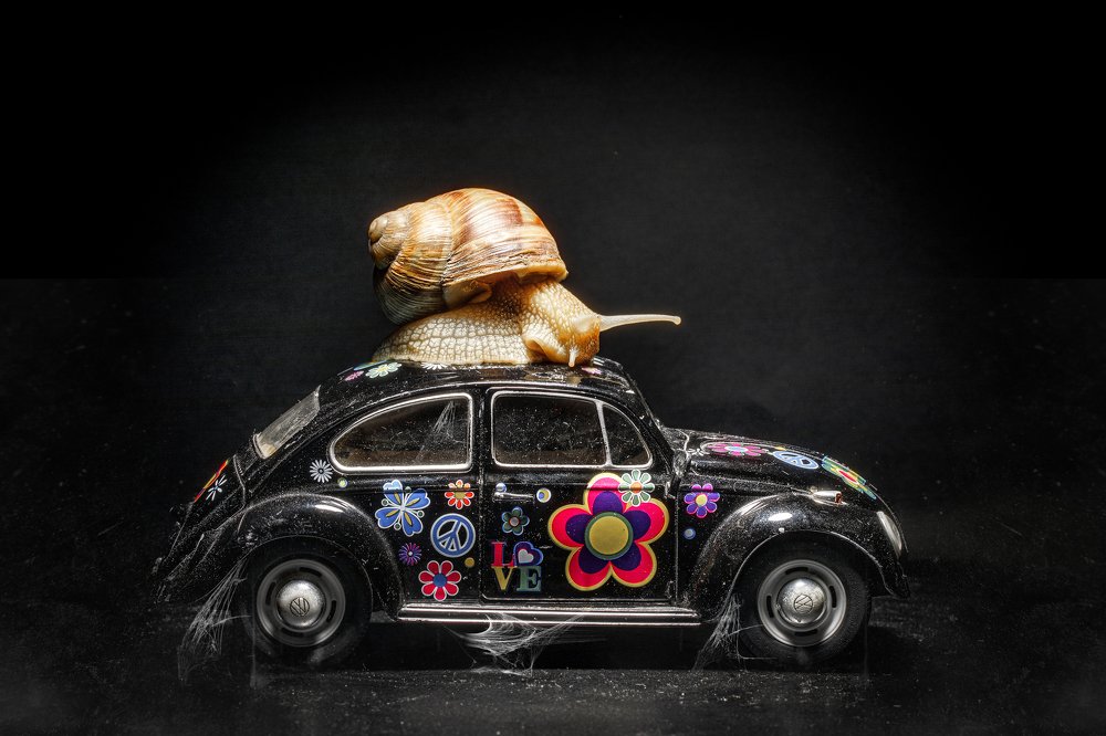 Photograph by Евгений Погоня