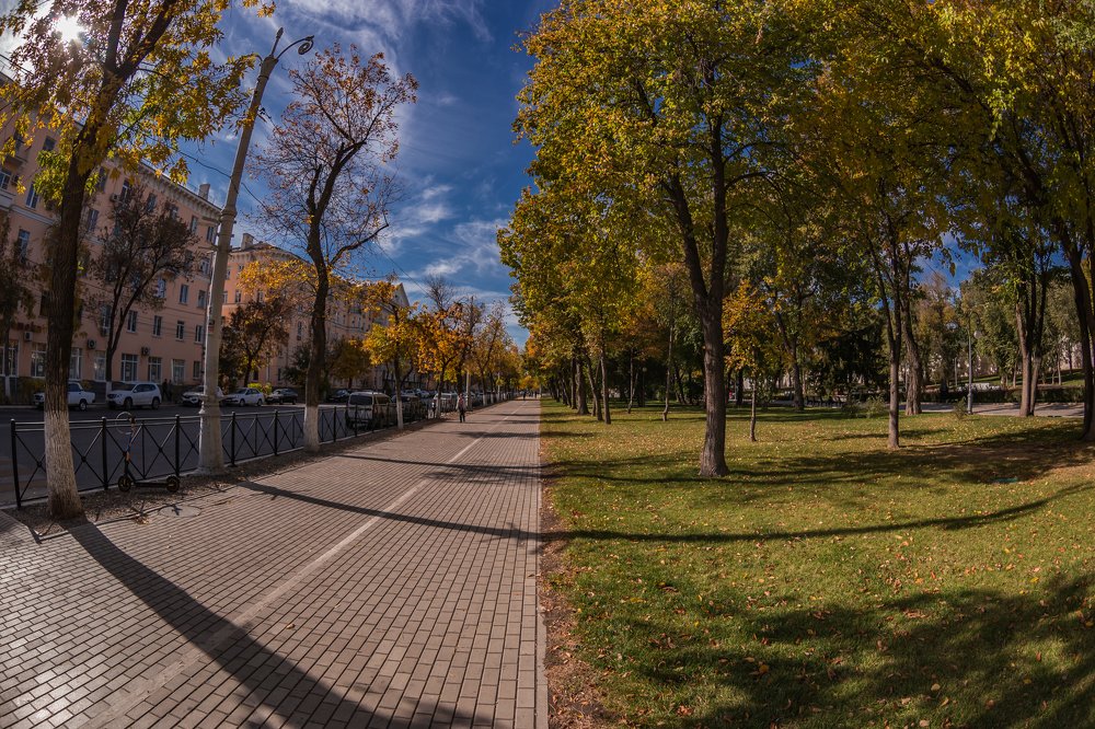 Середина осени.