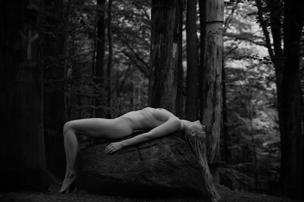 Photograph by Marcin Sokolowski - maarew